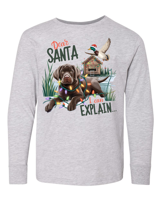 Dear Santa, I Can Explain Shirt