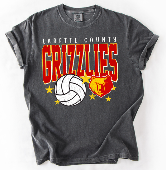 Volleyball- can customize- option 3