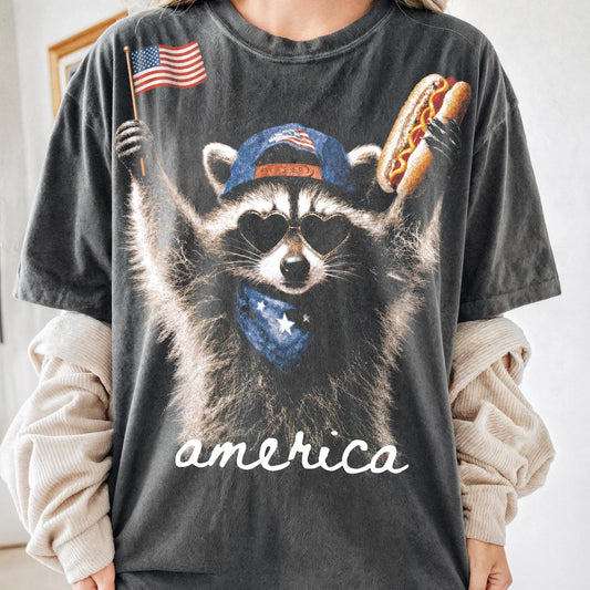 Raccoon america sillhouette
